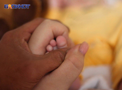 Маткапитал 2025: на какие суммы могут рассчитывать семьи из ДНР