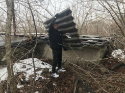 «Бизнесмен» от бога: в Торезе парень украл для продажи 33 листа шифера, но сделка не удалась