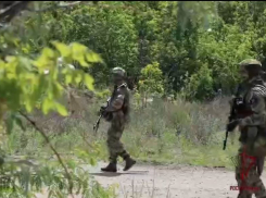 Американский пулемёт обнаружили в освобождённом от ВСУ районе ДНР