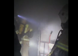 Двух кошек и собаку спасли пожарные из горящей гостиницы