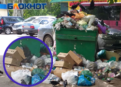 Дикие птицы осваивают свалки: жилые кварталы Донецка обрастают мусором