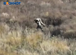 Командир более двух километров пронес на спине раненого бойца под обстрелами ВСУ