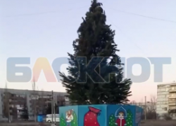 В Зугрэсе до сих пор не убрали новогоднюю елку с площади