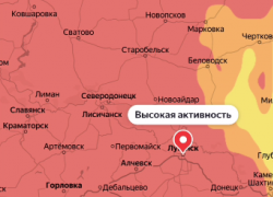 ДНР накрывает волна агрессивной пыльцы – аллергики в ужасе
