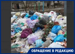 Массовая свалка в центре Иловайска: граждане умоляют обратить внимание на проблему