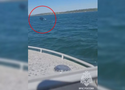 8-летний ребенок улетел в море на надувном матрасе в донецкой Ялте