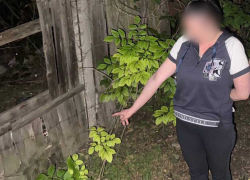 Выдало подозрительное поведение: в Донецке задержали 34-летнюю «закладчицу»