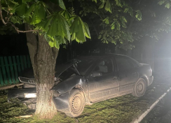 В ДТП пострадала беременная девушка: в Докучаевске автомобиль вылетел с дороги и въехал в дерево