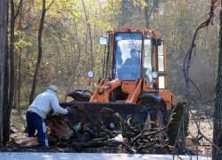 Парк «Энергетиков» в Донецке ремонтируют без выходных: обновят к Новому году