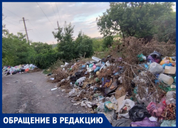 Более трех месяцев растет свалка бытового мусора на улице Буденного в Донецке