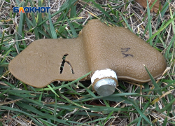 Пруд Песчаный в Кировском районе Донецка оказался заминирован «лепестками»