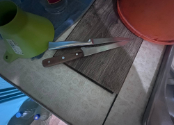 Пьяная дончанка пырнула сожителя ножом в грудь