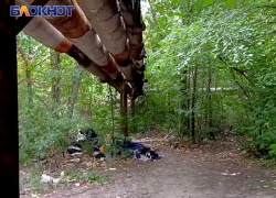 Жители улицы Бирюзова требуют убрать мусор и заросли