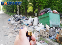 Поджоги мусорников в Донецке: пьяные выходки, месть коммунальщикам или диверсия?