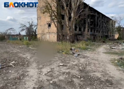 «Видишь, труп лежит? К нему езжай прямо»: эксклюзивные кадры из Красногоровки 