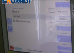 Качество урожая в ДНР, несмотря на погодные условия, не упало