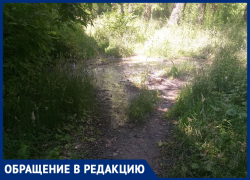 «Воняет так, что открыть форточку невозможно»: жители жалуются на порыв канализации за домом в Донецке 
