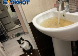 Воду из-под крана в ДНР можно пить – «Вода Донбасса»