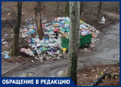 У свалки ТБО в Куйбышевском районе Донецка жители заметили крыс