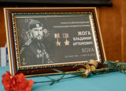 Уроки мужества, посвященные памяти Героя ДНР Владимира Жоги, прошли в школах Республики