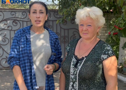 Крик о помощи из Рыльска: приюту для животных помогли волонтеры, власть «забыла»