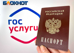 Вместе с паспортом РФ жители ДНР автоматически получат СНИЛС и ИНН
