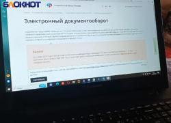 Как не получать штрафы за неправильные отчеты: Соцфонд РФ по ДНР рассказал, что делать работодателям