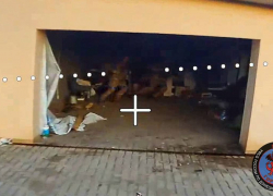 Украинские ДРГ ликвидированы под Дзержинском сотрудниками ФСБ  