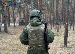 Украинские террористы бегут: все больше территорий переходит под контроль ВС РФ