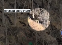 На окраинах Константиновки "Горыныч" ФСБ разгромил украинские ДРГ