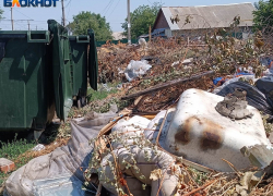 В ДНР построят мусороперерабатывающие предприятия и полигоны для отходов 