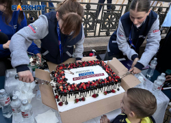Медведь на бульваре Пушкина: платформа «Россия - страна возможностей» отметила семилетие в ДНР