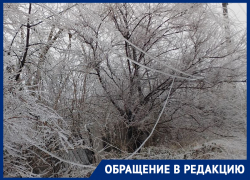 «В РЭС не приняли заявку, бросили трубку!»: жители Донецка не могут достучаться в аварийные службы