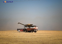 В засуху донецким аграриям удалось вырастить и собрать 358 тысяч тонн зерна высокого качества