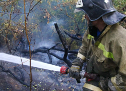 В последнюю субботу июля в ДНР предупреждают о чрезвычайной пожароопасности