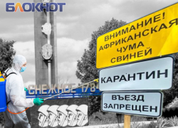 Африканская чума свиней объявлена в Снежнянской исправительной колонии: какие запреты действуют для жителей вокруг нее