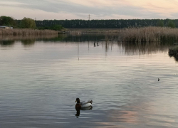 В 2026 году в ДНР очистят берега 33 водоёмов