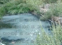 Пруд Песчаный в Донецке превратился в зловонное болото — «Вода Донбасса» молчит