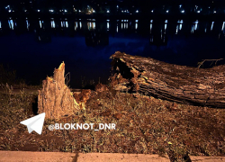 Практически без ив осталась Набережная Кальмиуса в Донецке: о последствиях свирепого урагана в ДНР