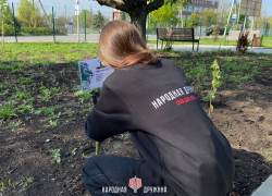 В Волновахе, ДНР, высадили аллею памяти в честь 80-летию Победы