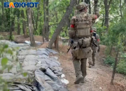 ВС РФ форсировали реку Волчья в ДНР и контролируют большую часть островов в дельте реки Днепр
