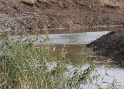 Реку Кальмиус в ДНР расчистят до Азовского моря в 2026 году