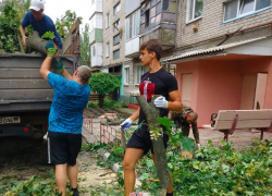 Дружинники ДНР помогают убирать упавшие ветки и деревья после дождя