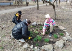  В образовательных организациях ДНР появляются ботанические сады  