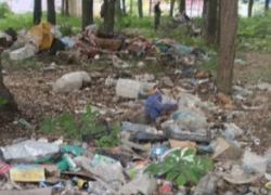 Второй месяц на Бирюзова в Донецке разрастается свалка в парковой зоне