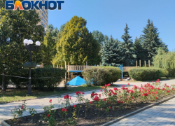 В центре Донецка реконструируют детскую площадку