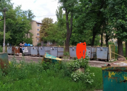 Контейнер с мясными отходами вт Донецке убрали после публикаций «Блокнота»
