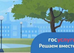 Допуслуга «Обратная связь»: жители могут общаться с властями через «Госуслуги»
