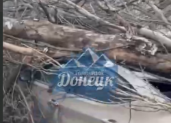 Дерево рухнуло на автомобили на улице Крамарчука, 4