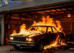 Из-за ландшафтного пожара в Мариуполе сгорели 3 гаража и 6 бытовок